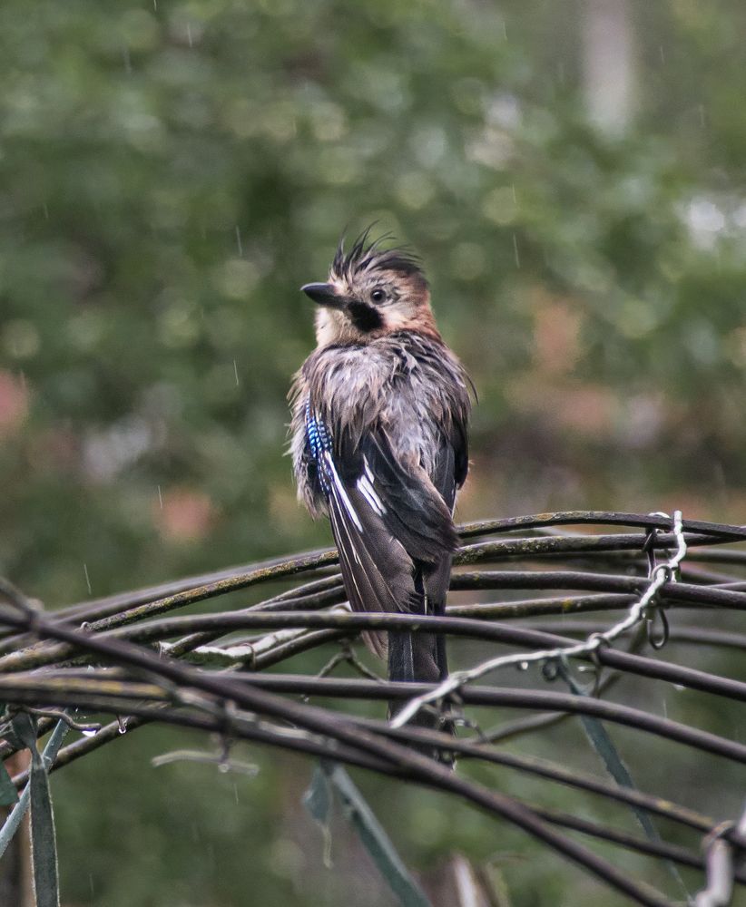 Photograph by Марина Хаева