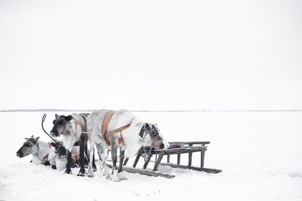 Photograph by Александра Бушуева