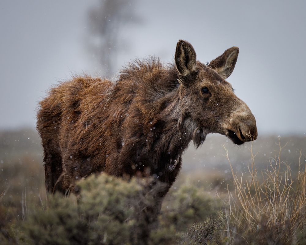 Photograph by Geoffrey Tipton