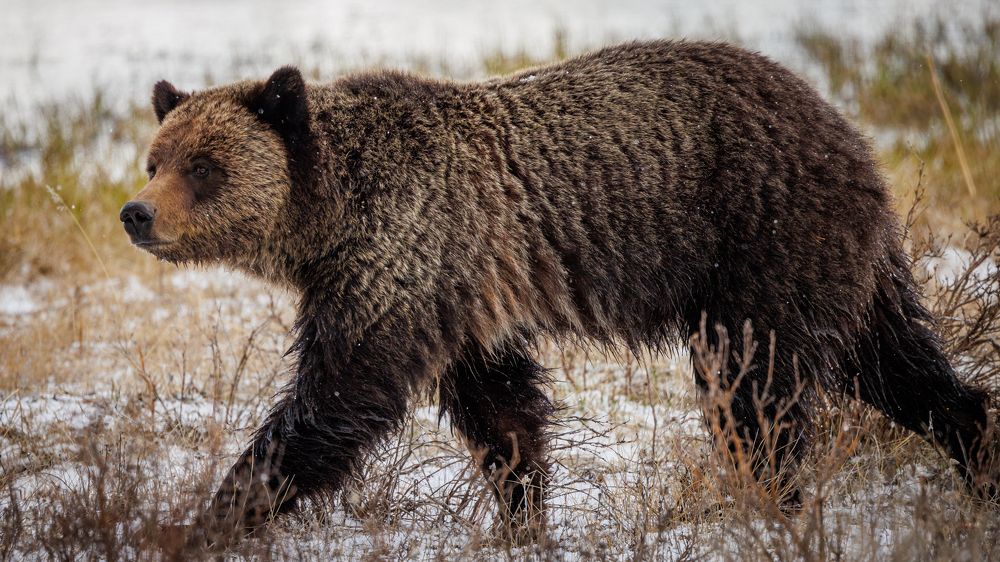 Photograph by Geoffrey Tipton