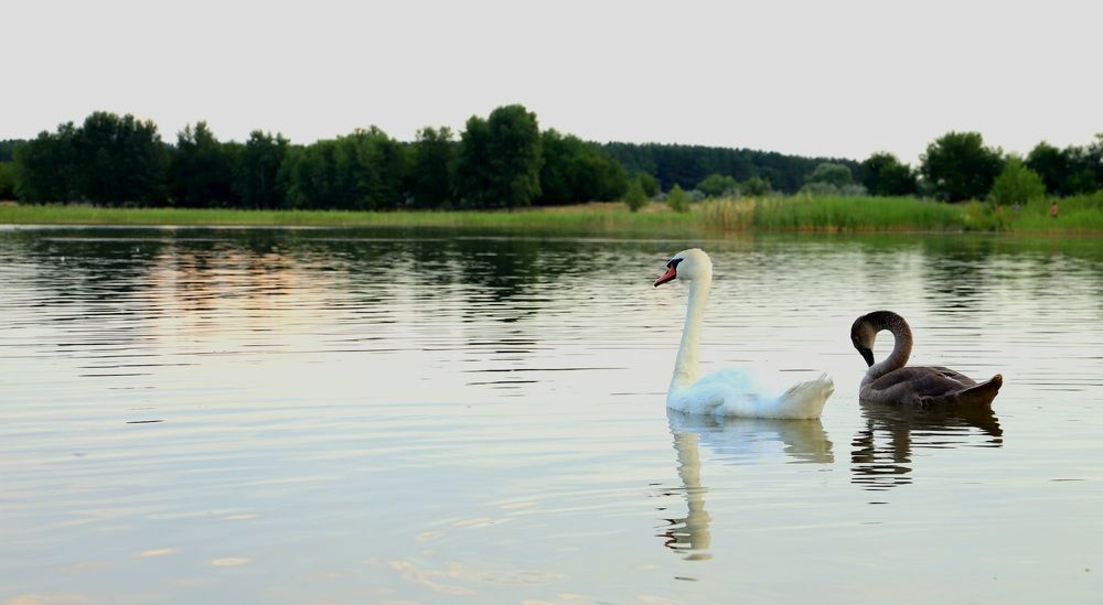 Photograph by Iren Kuzlo