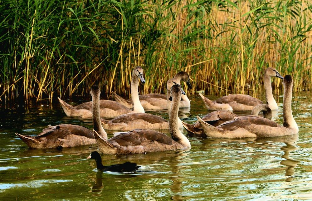 Photograph by Iren Kuzlo