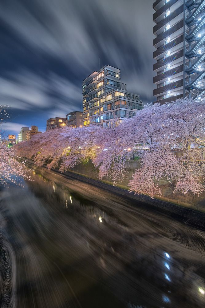 Фотография автора tran luong quyen