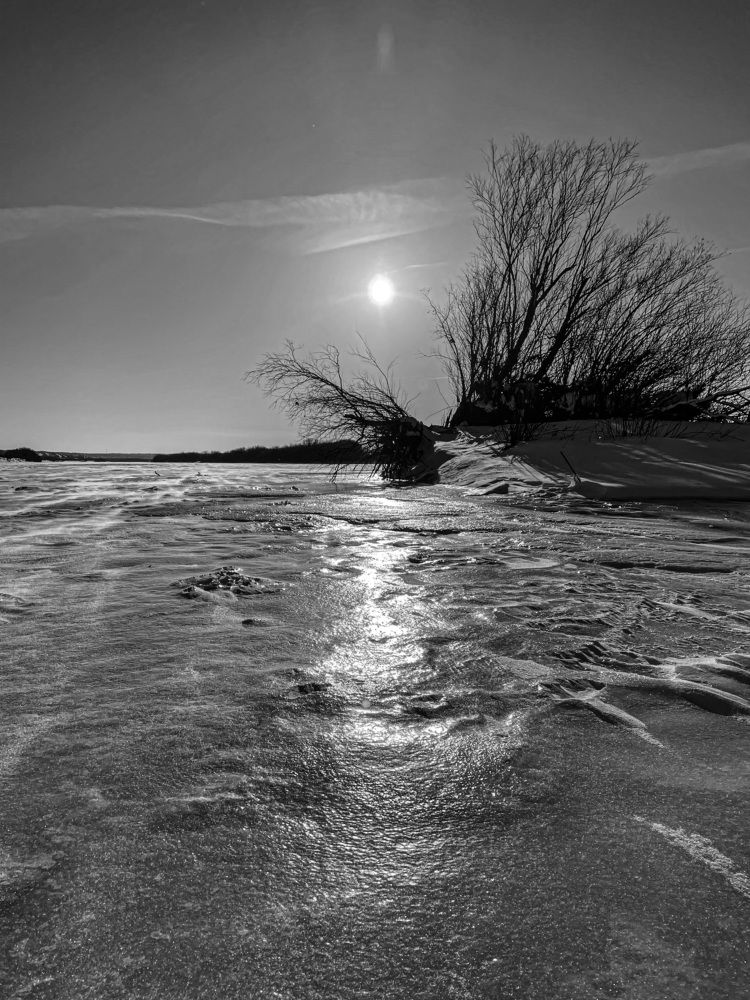 Photograph by Анна Колесниченко