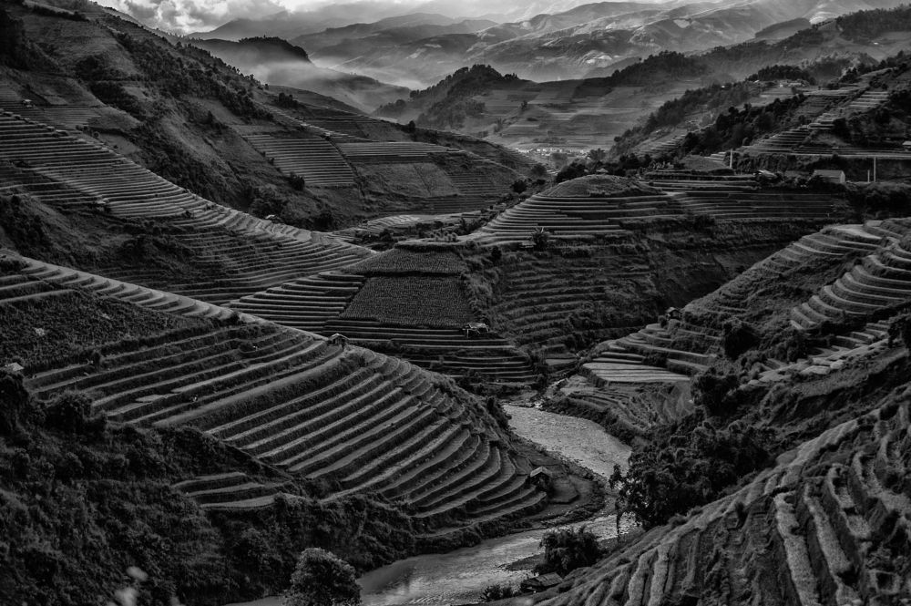 Photograph by Pablo Villota