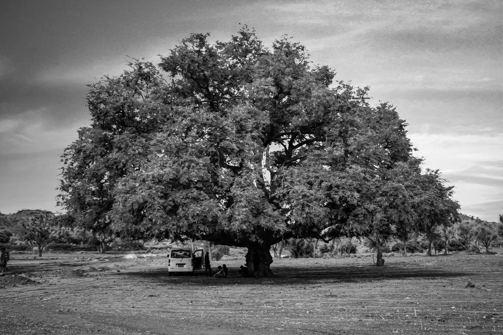 Photograph by Shawki Hajj