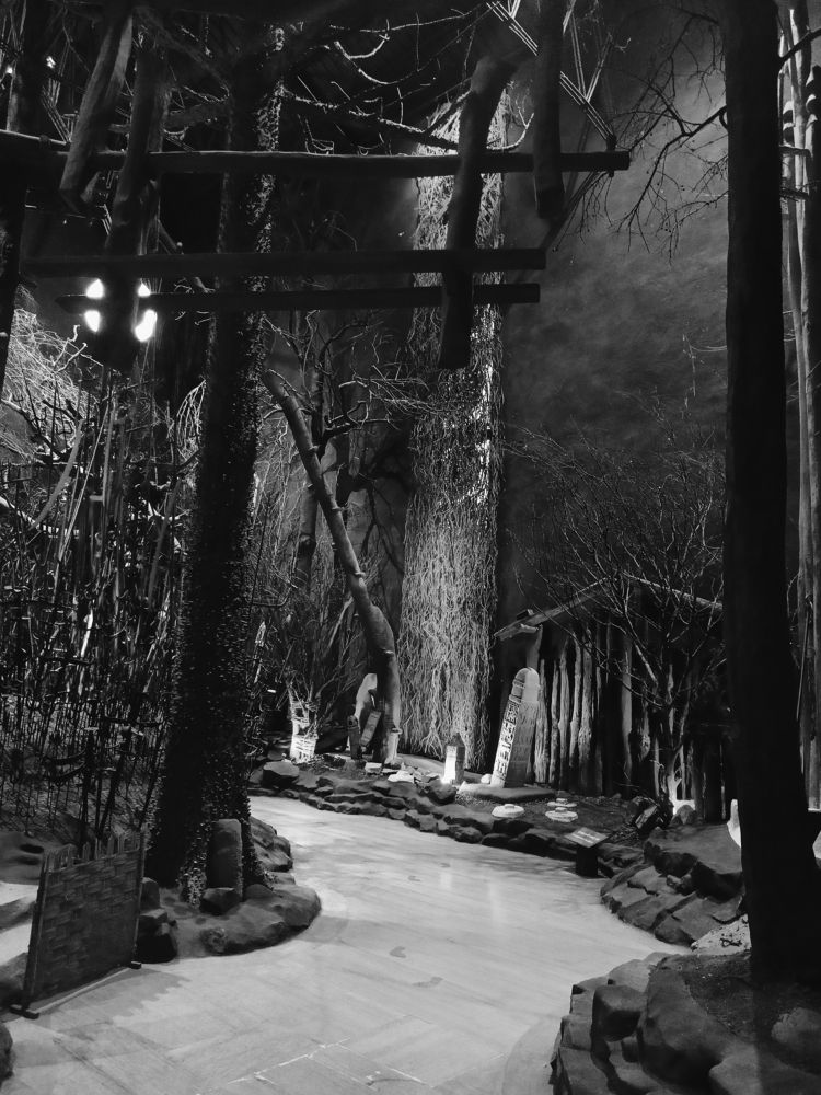 Unidentified Pathway