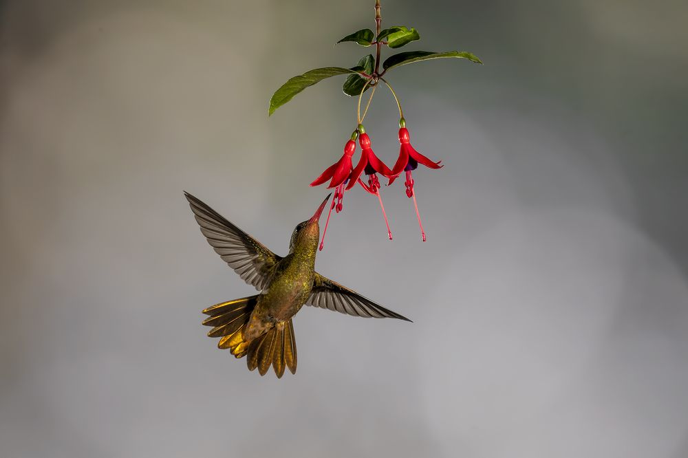 Photograph by Esteban Argerich