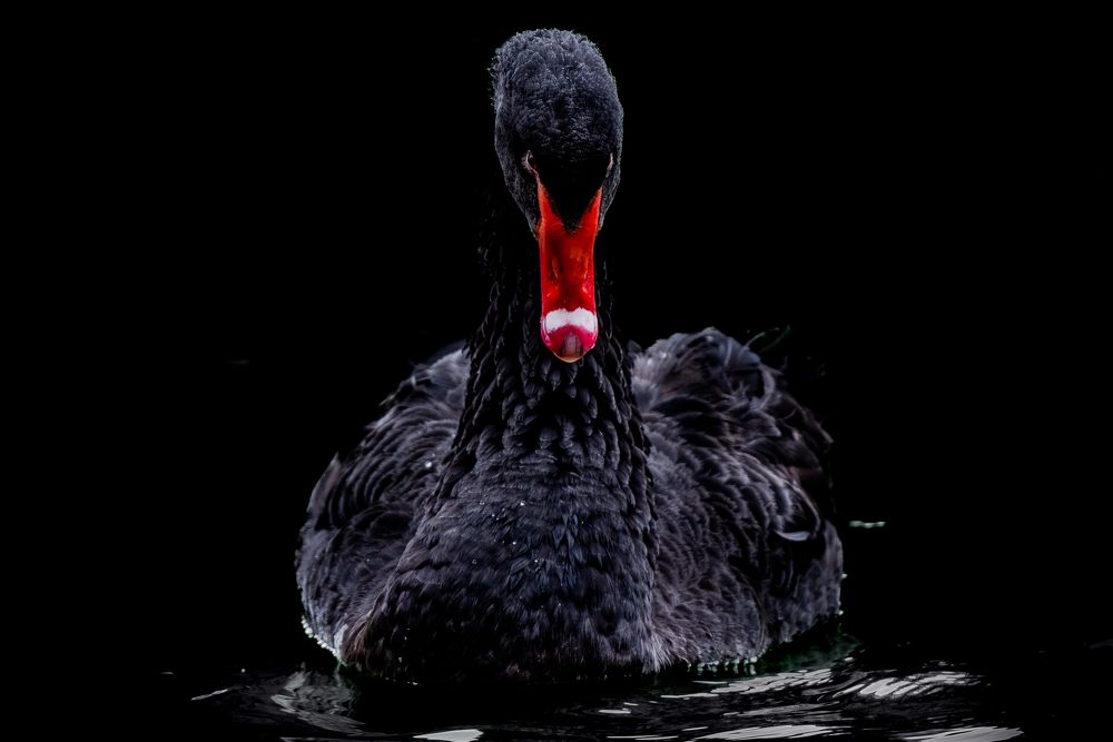 Photograph by Дмитрий