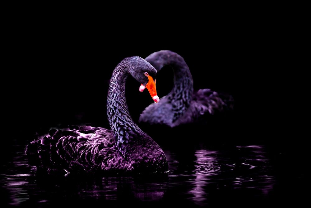 Photograph by Дмитрий