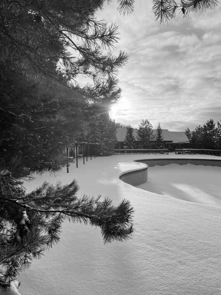 Photograph by Дарья