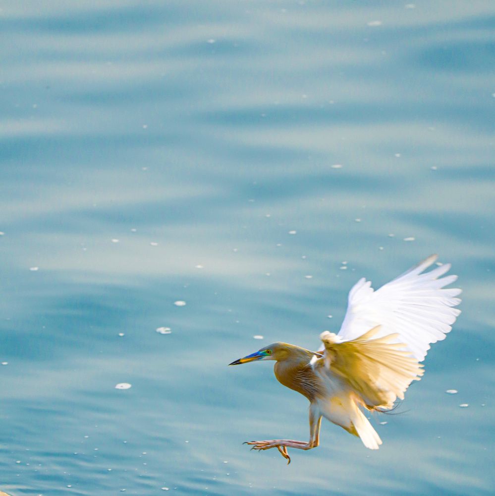 Photograph by Keshav Kothari