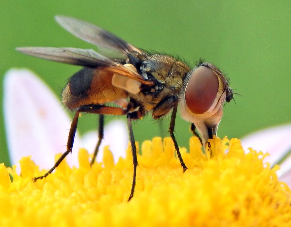 Photograph by Наталья Соколова