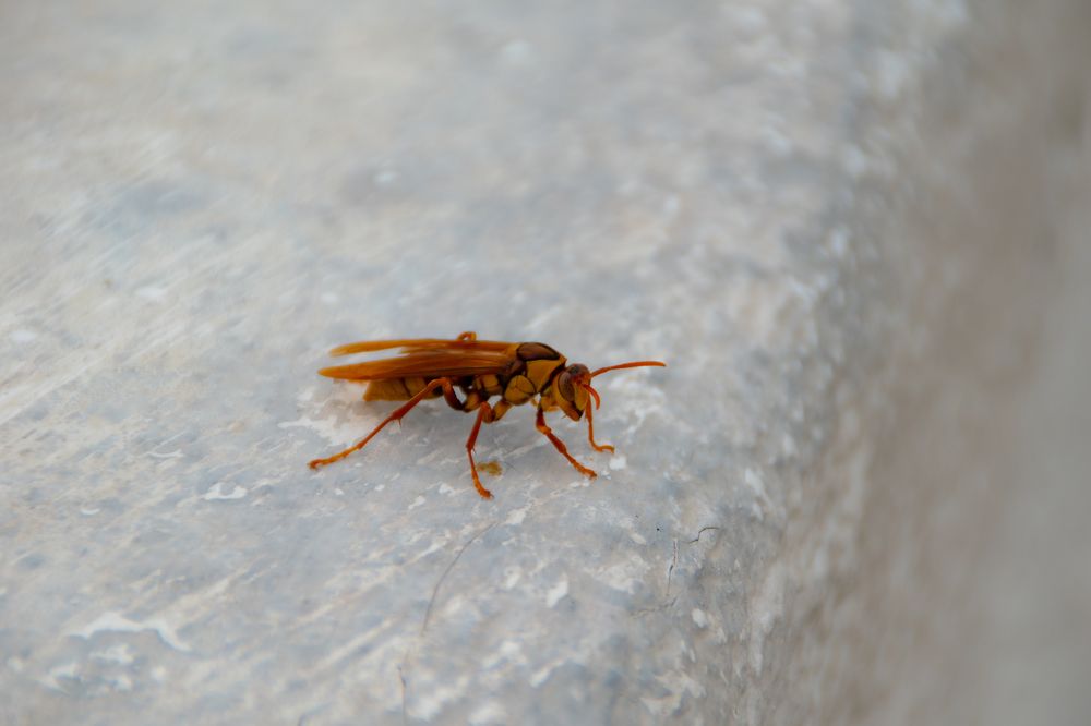 Photograph by Juan Carlos Pascual López