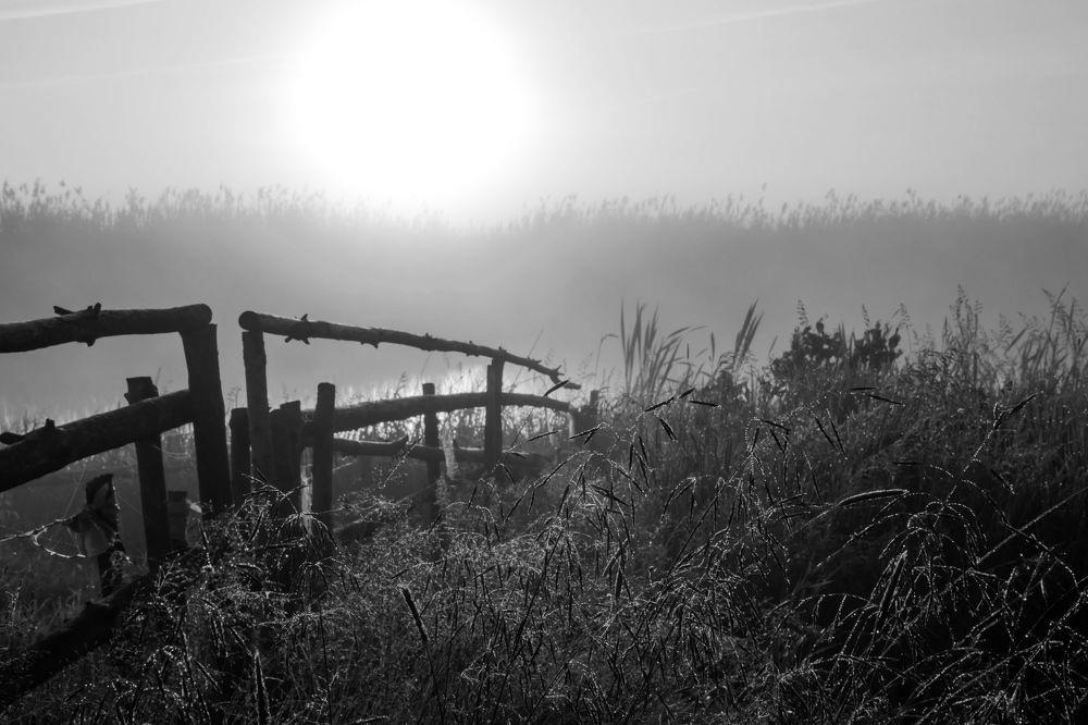 Photograph by Aliaksandra Klimchuk