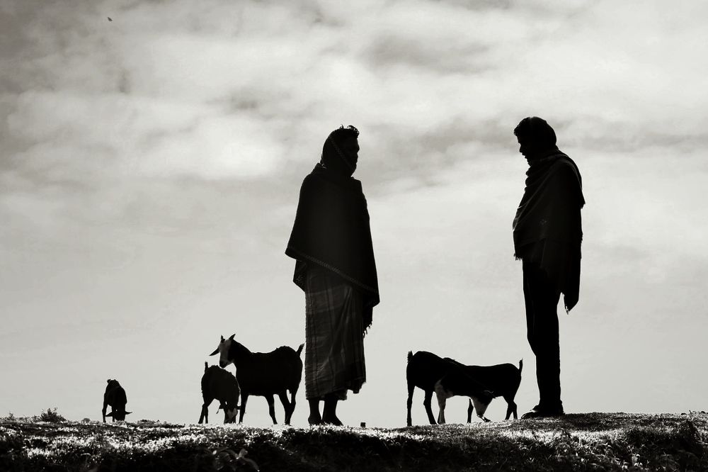 Photograph by Sanjib jana