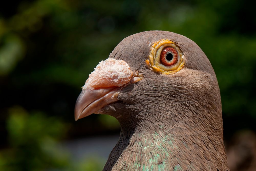 Photograph by Raúl Navarro González