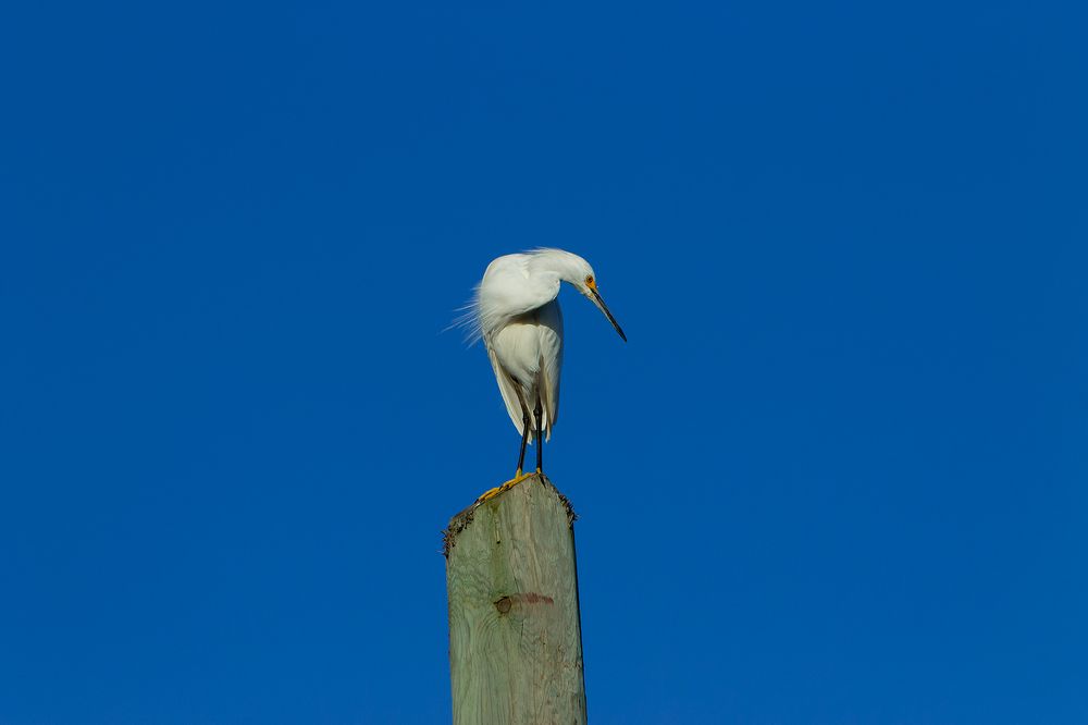 Photograph by Raúl Navarro González