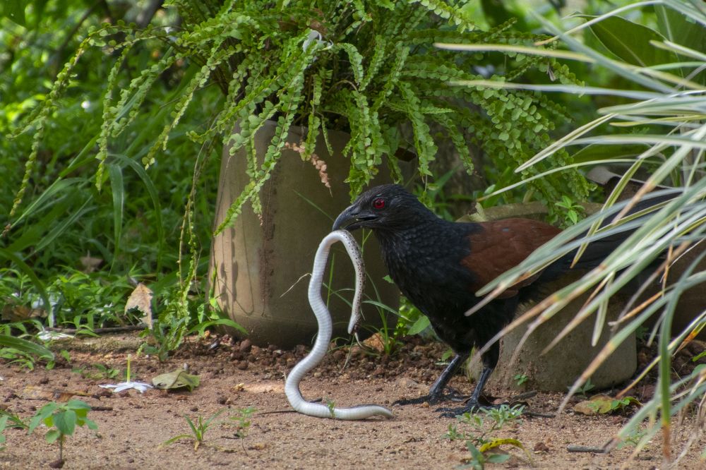 Photograph by Thinesh Manivannan