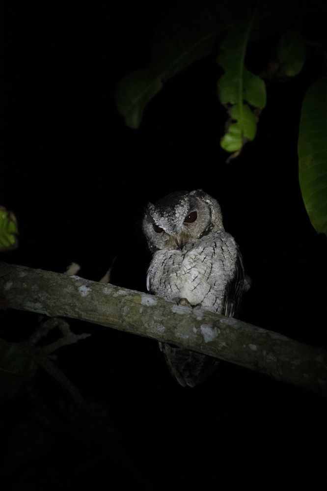 Photograph by Thinesh Manivannan