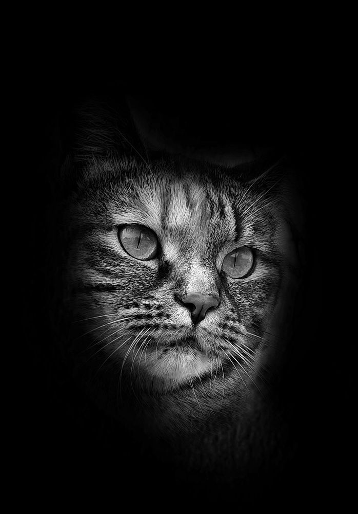 Photograph by Наталья Чередниченко