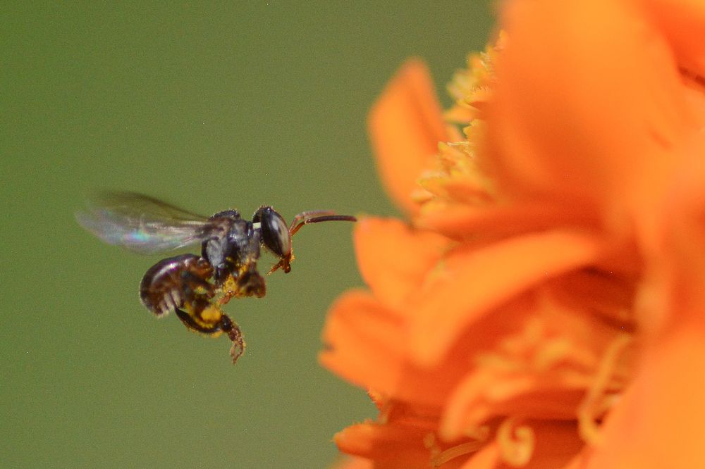 Photograph by Lucky Alvi