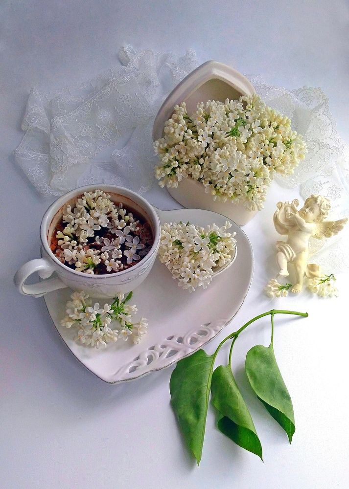 Photograph by Виолетта Рябова