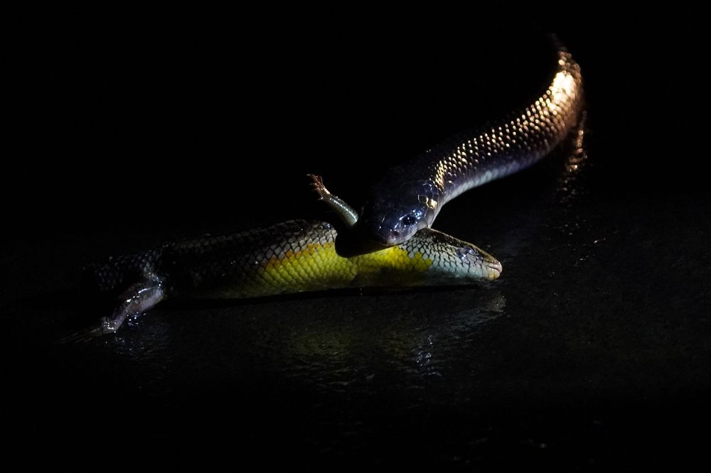 Photograph by Yogesh G shid