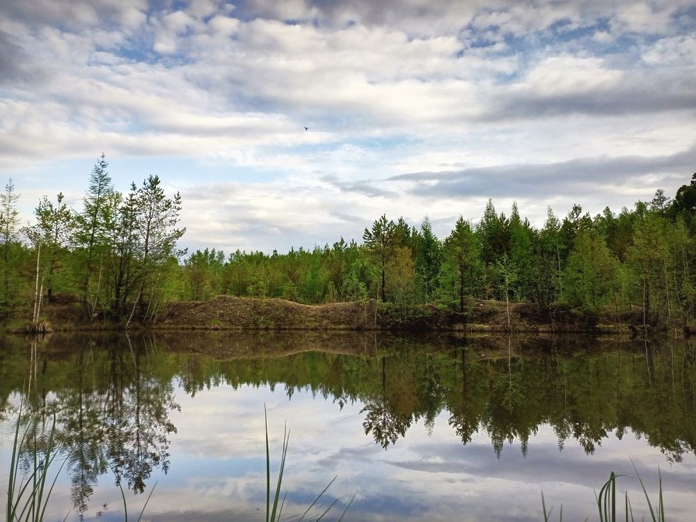 Photograph by Александра