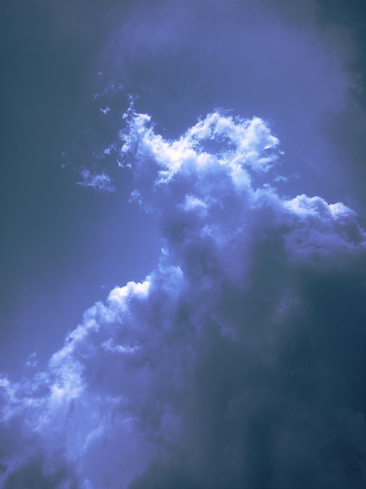 Photograph by Puja Sadhu