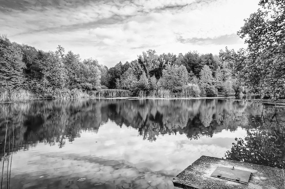 Фотография автора Vladimir Nikolov