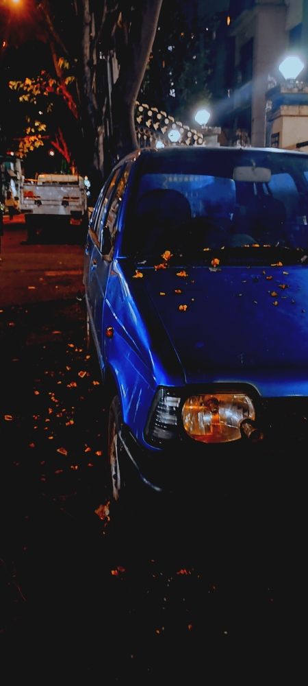 Photo #7714842
