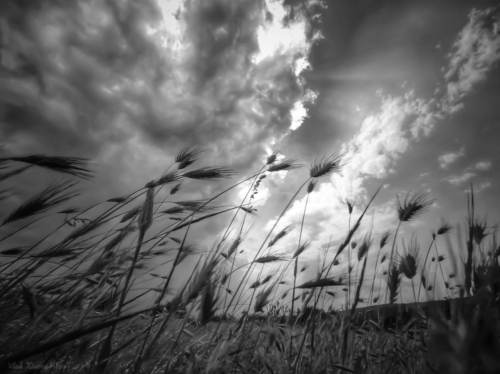 Фотография автора Vladimir Nikolov