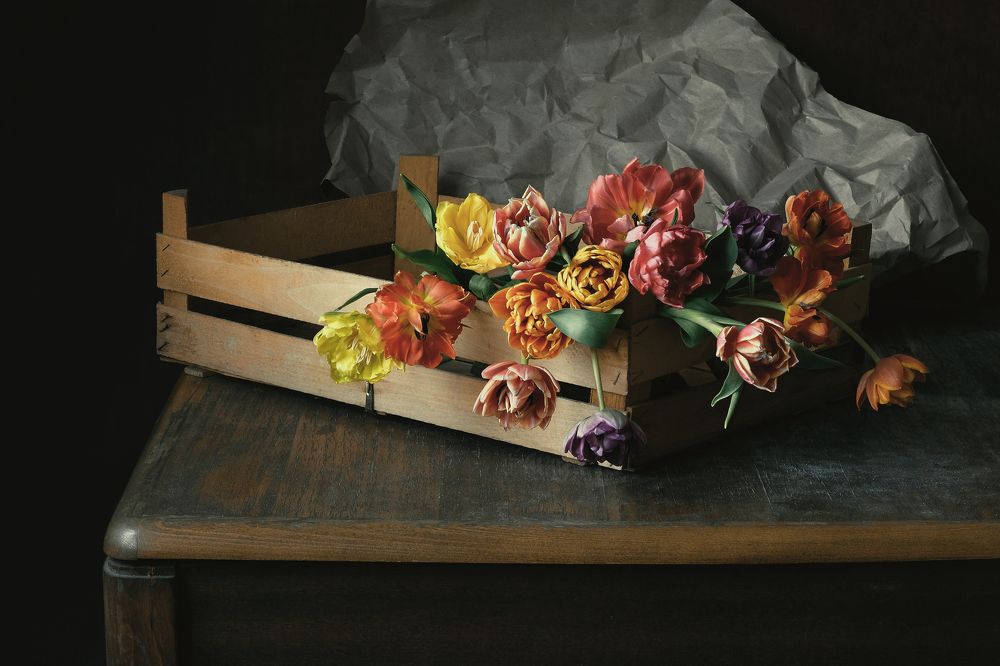 Photograph by Олеся Неволина-Лопатина