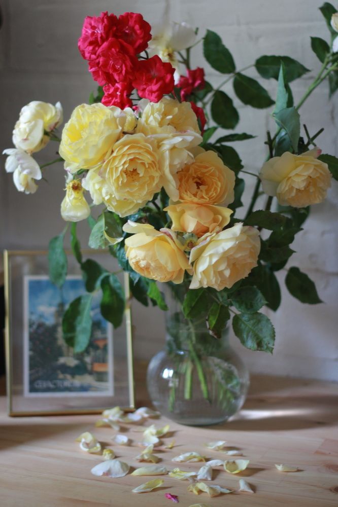 Photograph by Дарья Расшивина