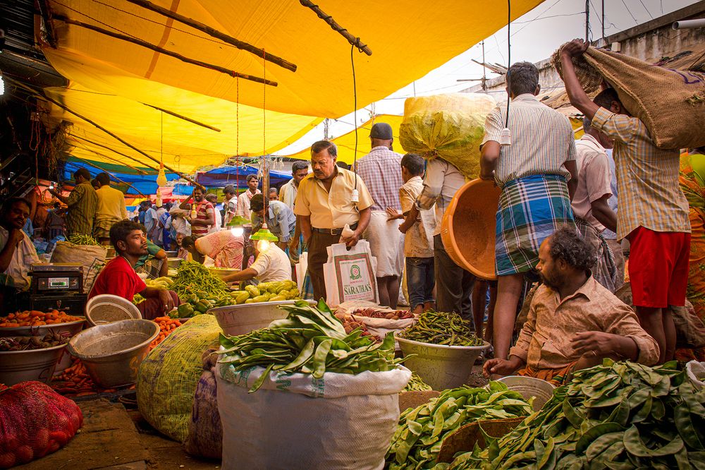 Photograph by Dinesh P