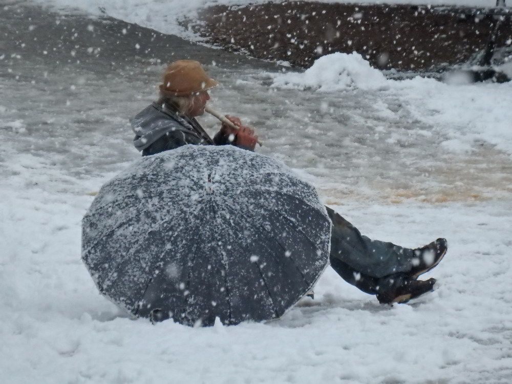 Photo #7715020