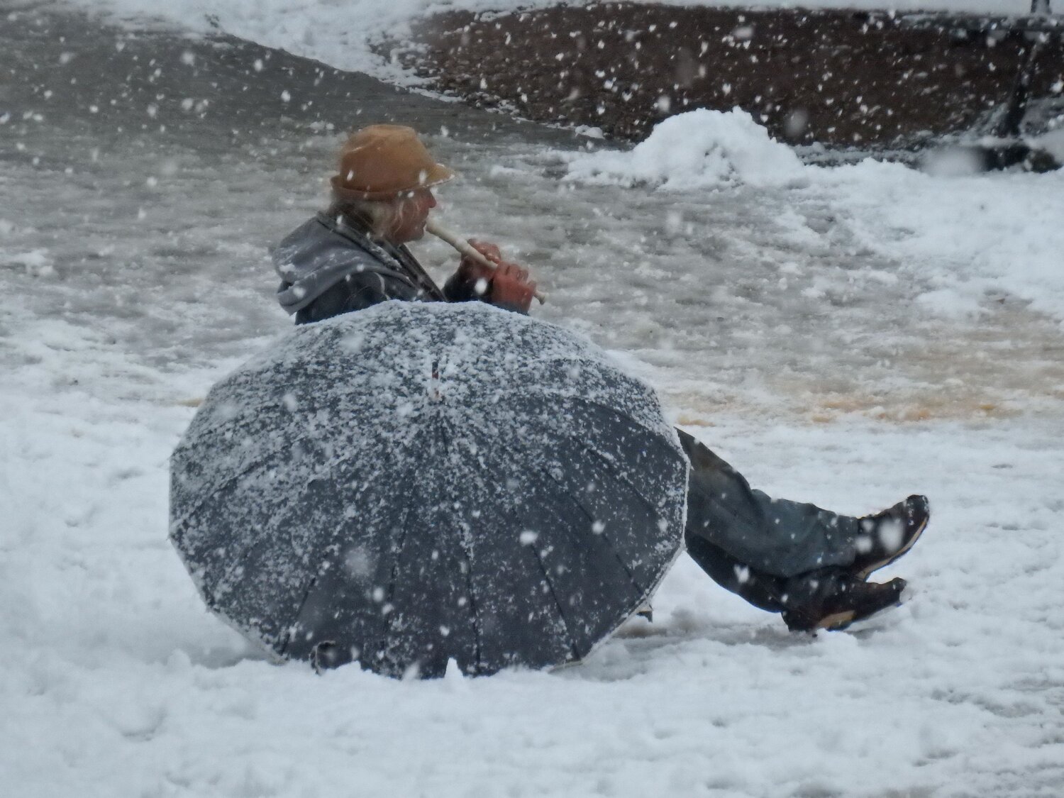 Photo #7715020