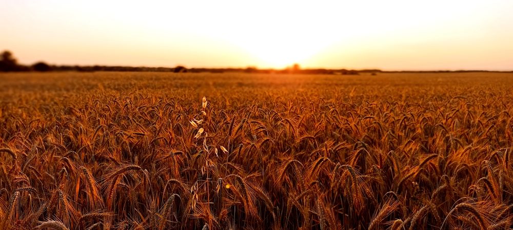 Фотография автора Михаил Лупина