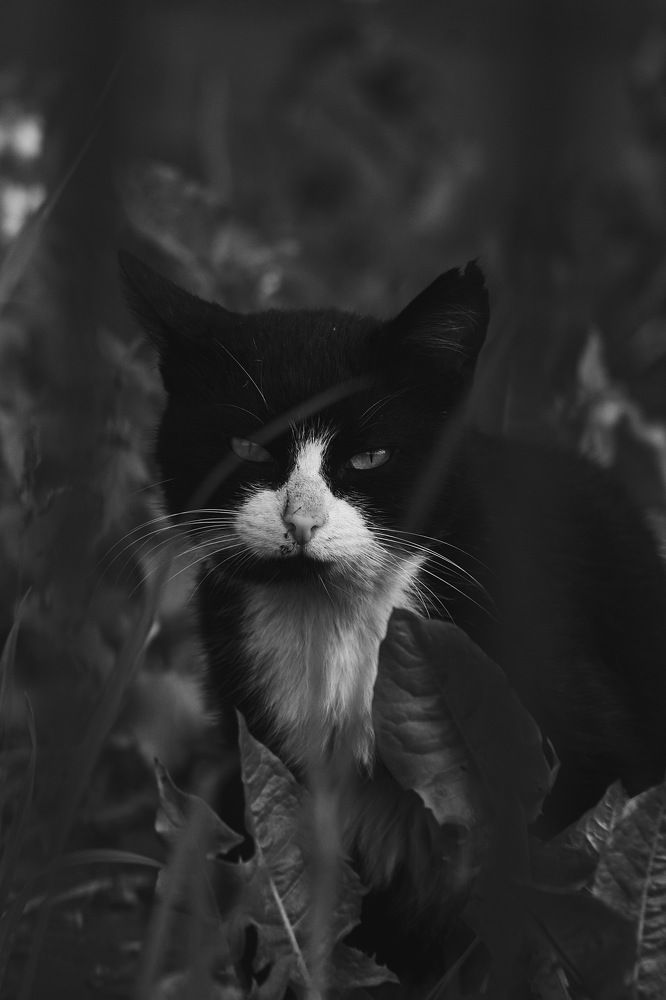 Photograph by Иван Винцковский