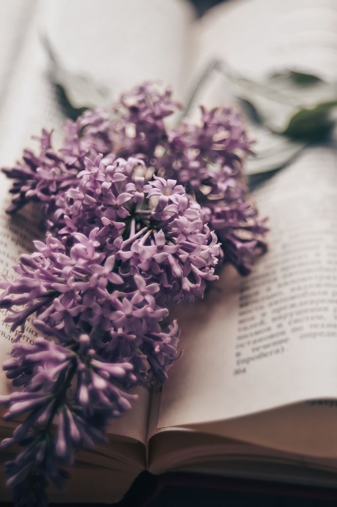 Photograph by Anna Solomina