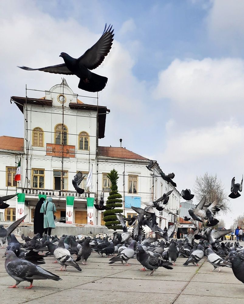 Photograph by Masoumeh Rahimi