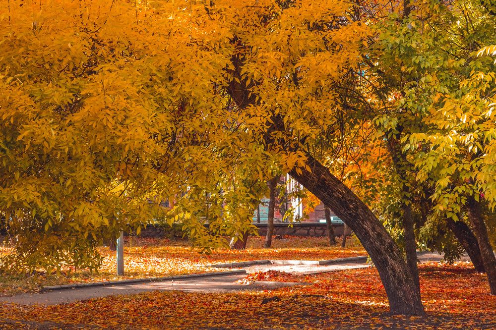 Photograph by Юлия Фролова