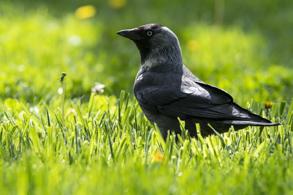 Photograph by Станимир Каменов