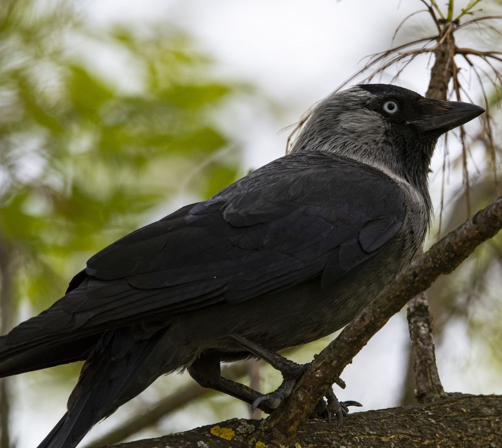 Photograph by Станимир Каменов