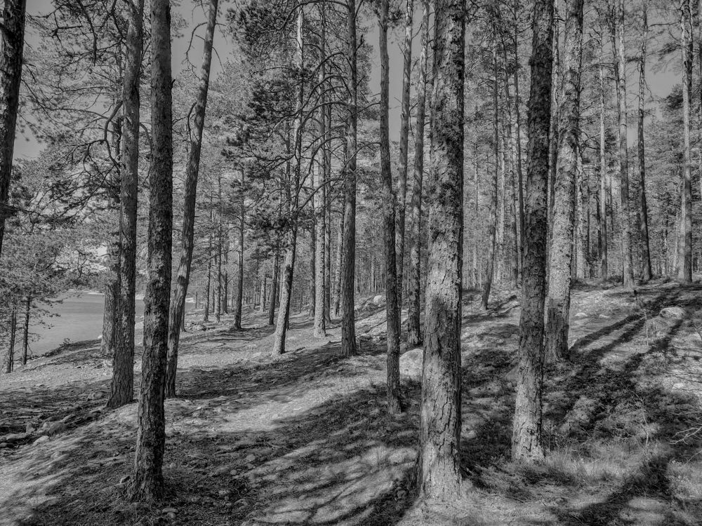 Photograph by Екатерина Казарцева