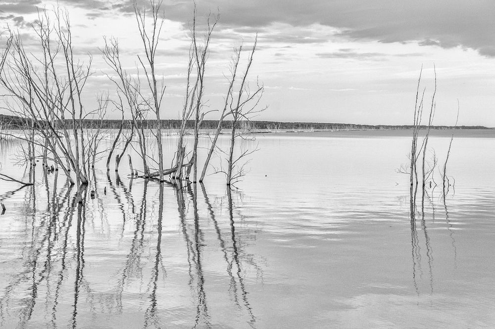 Photograph by Анатолий Лиясов