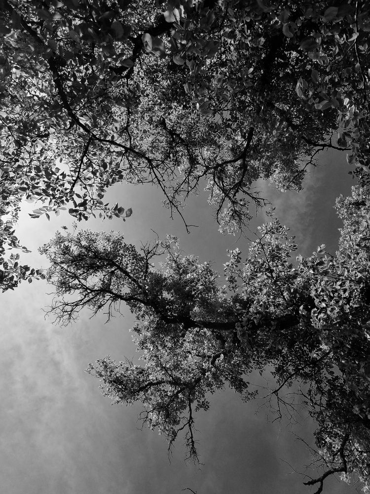 Photograph by Ирина Герлин