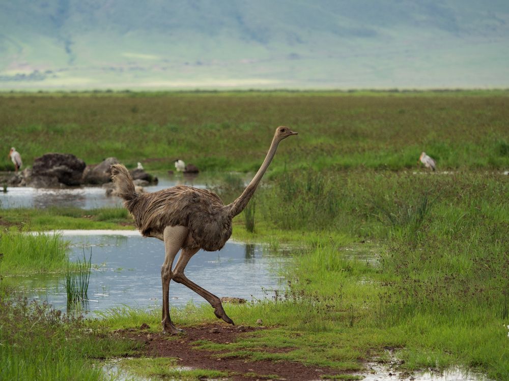Photograph by Anatoly Serebrennikov