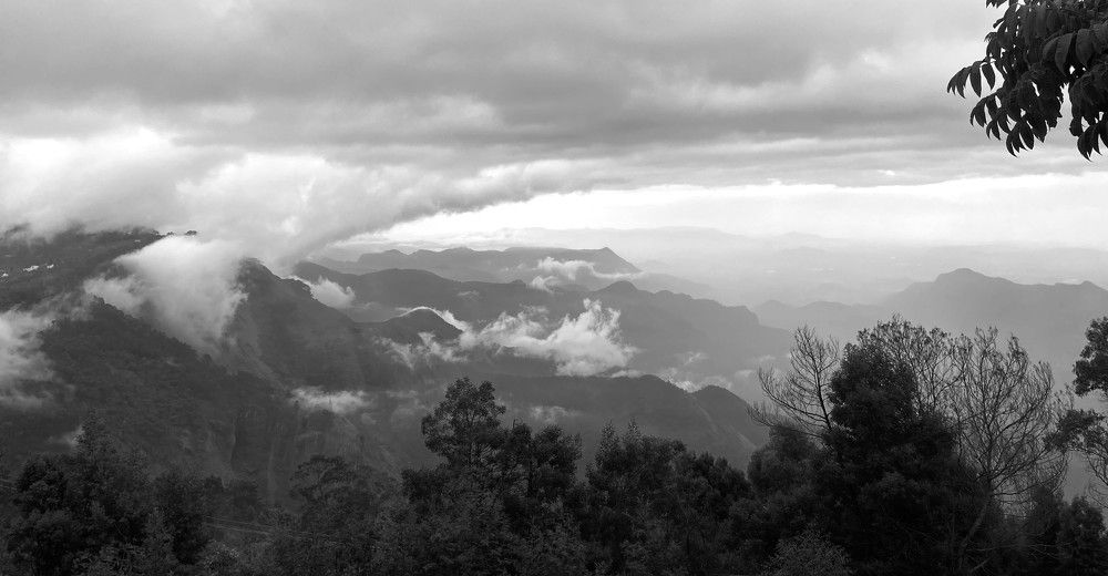 Photograph by Surendran Kalaivani